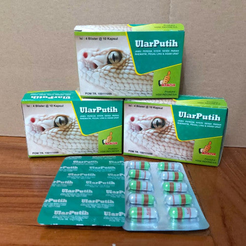 ularputih capsule original herbal gout