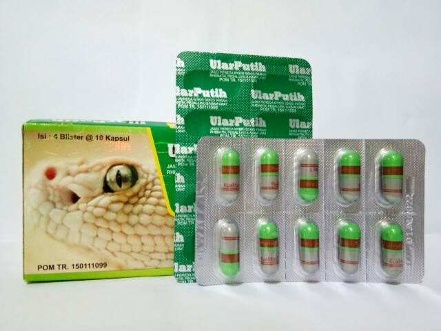 ularputih capsule original herbal gout