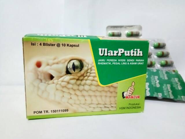 ularputih capsule original herbal gout